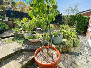 Rear Garden- click for photo gallery